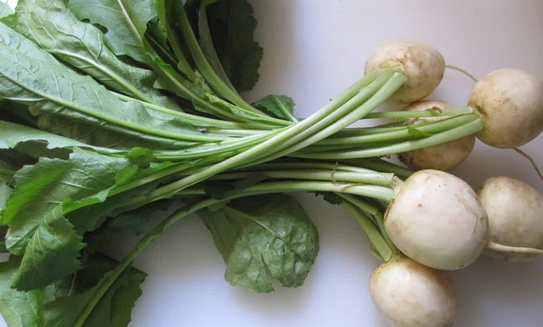 Benefits Of Turnip Green