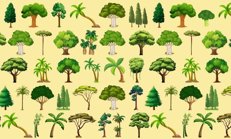 Visual Trees Challenge
