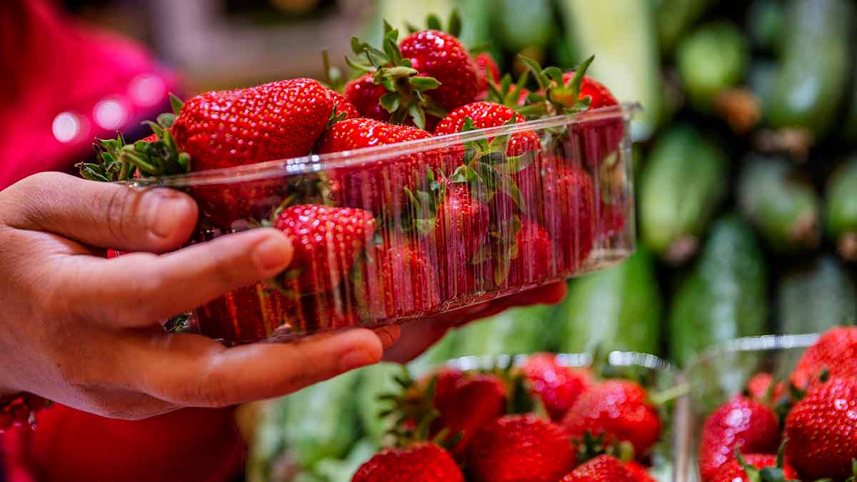 Properties Of Strawberries