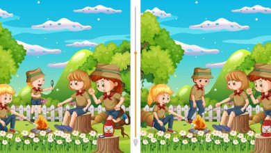 Observation Differences Game