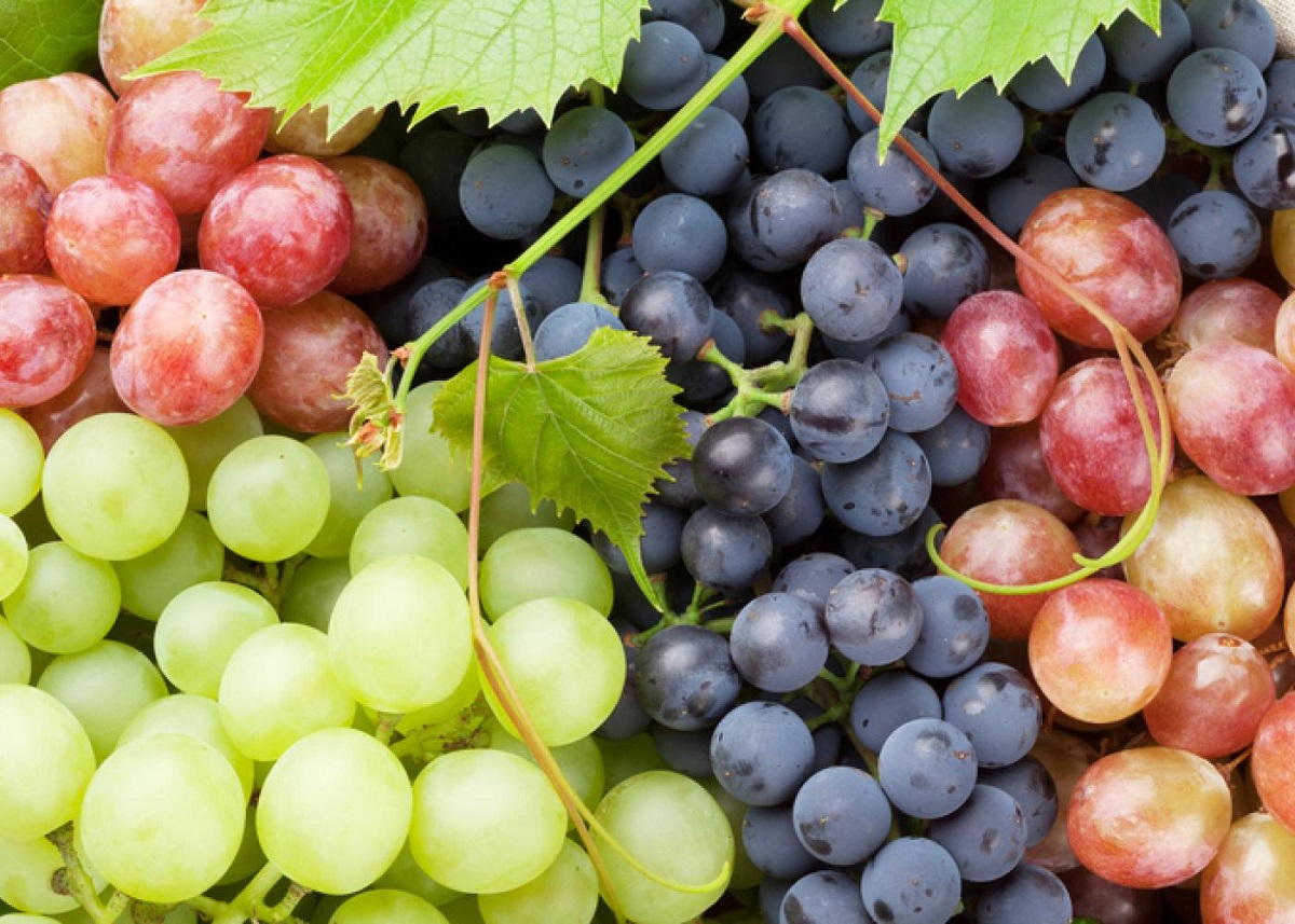 Properties of Grapes