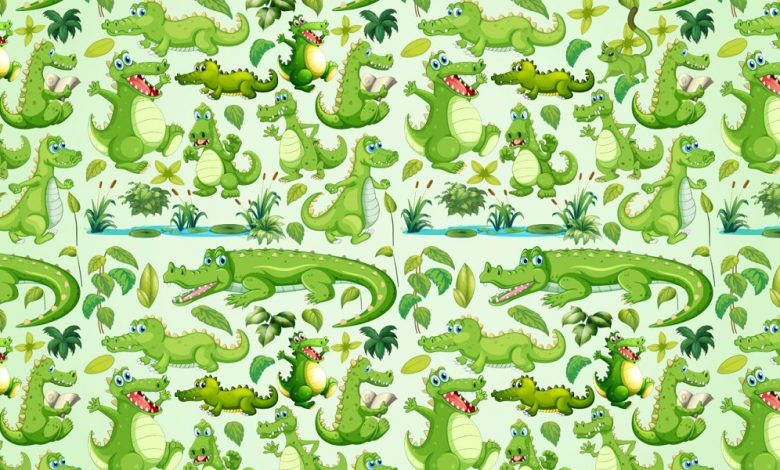 Crocodiles Visual Challenge
