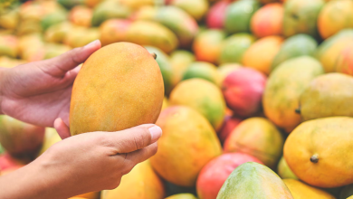 Health Benefits Of Mango