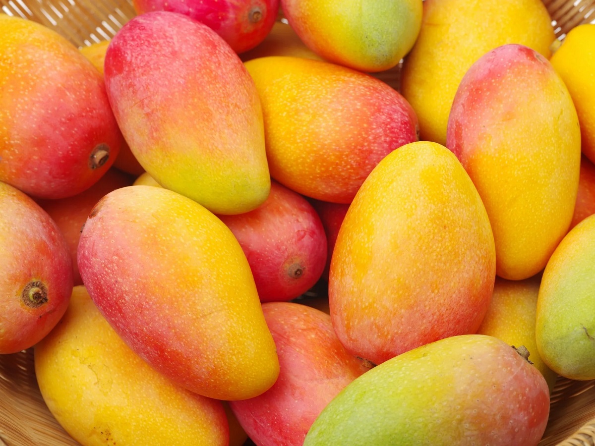 Health Benefits Of Mango