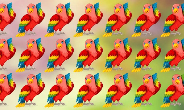 Visual Test Of Parrot