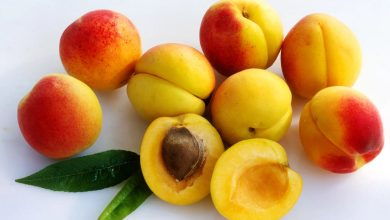 Side Effects Of Apricot Kernel