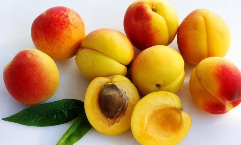 Side Effects Of Apricot Kernel