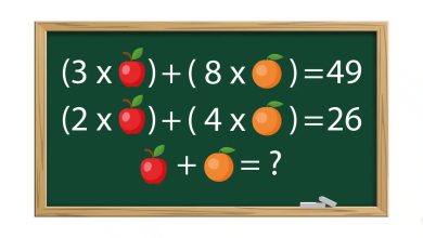 9th Grade Math Challenge