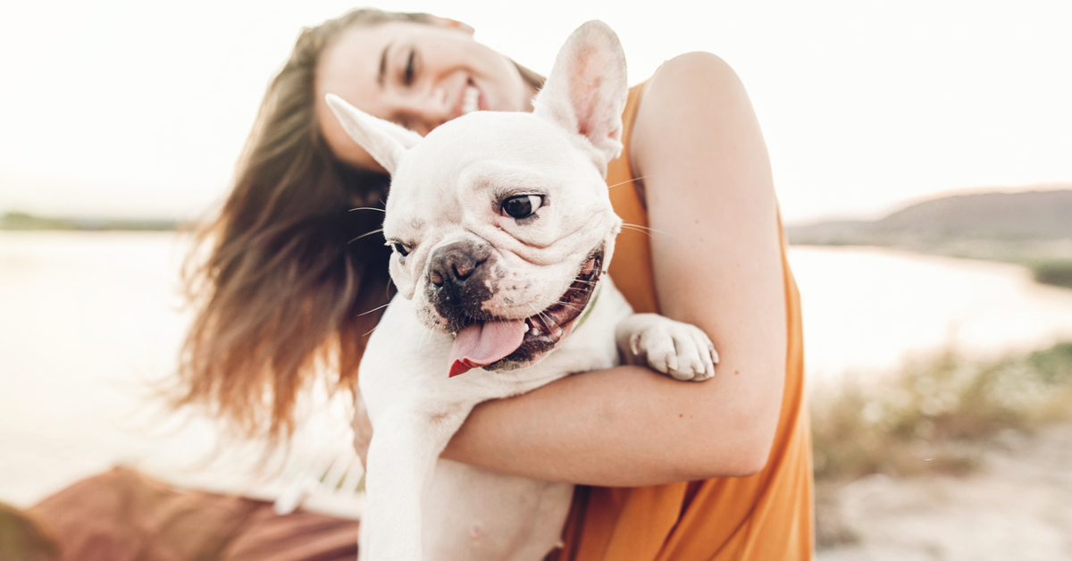 Sunscreen For Pets