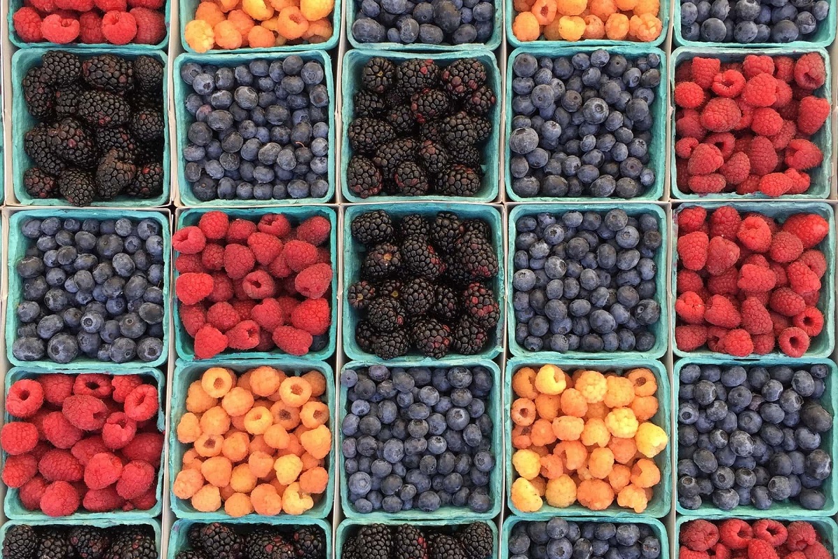 Different Types Of Berry