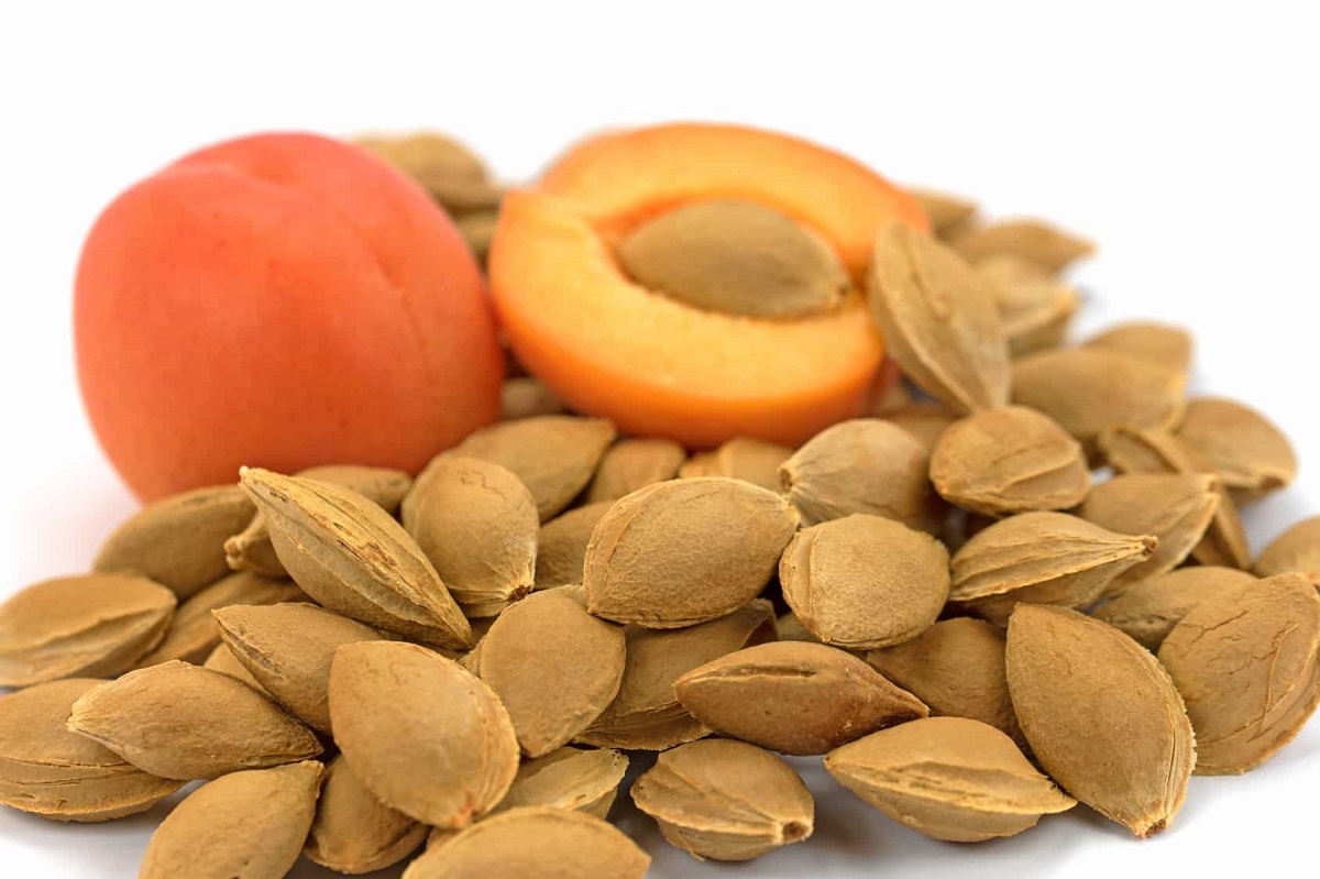 Side Effects Of Apricot Kernel