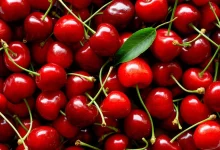 Best Properties Of Cherries