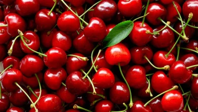 Best Properties Of Cherries