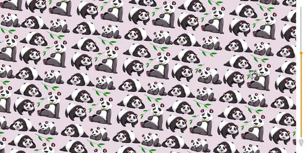 Take Visual Test: Will You Be Able To Locate The Intruder Among The ...