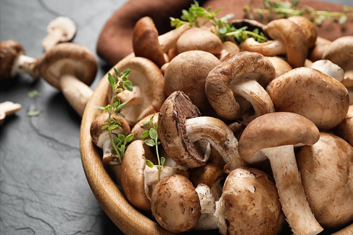 Health Benefits Of Mushrooms