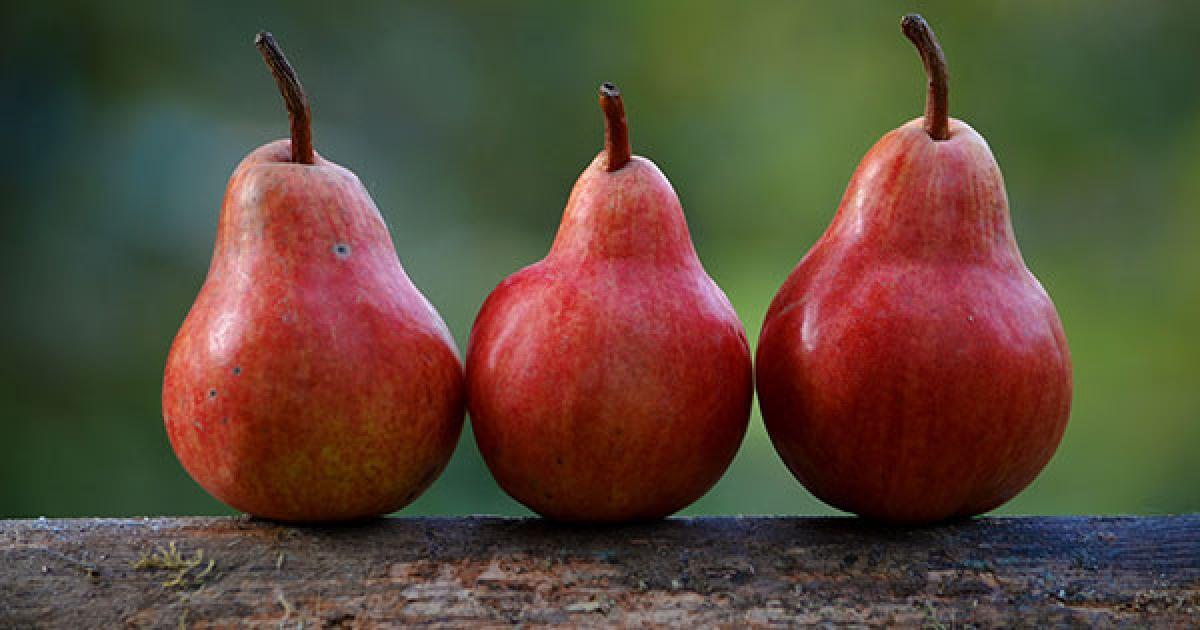 Pear Fruit Benefits