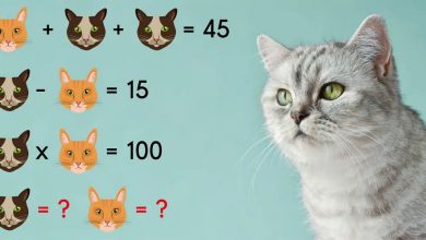 Tricky Math Puzzle