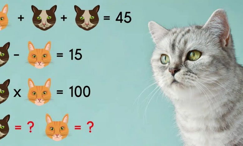 Tricky Math Puzzle