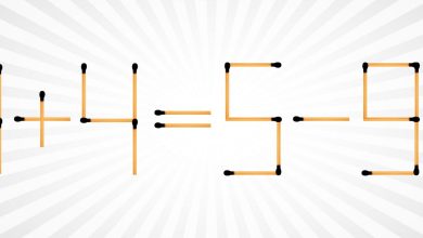 Matchstick Math Puzzle