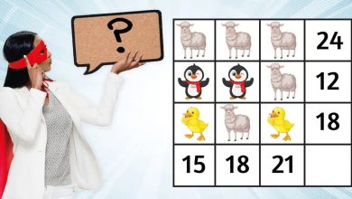 Math Picture Puzzle