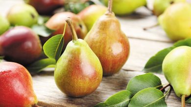 Pear Fruit Benefits