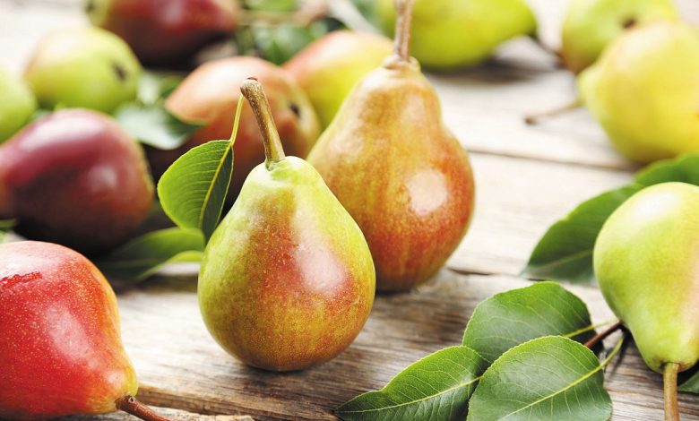 Pear Fruit Benefits