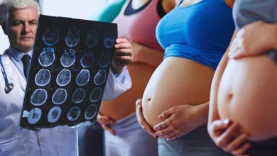 Pregnancy Changes The Brain