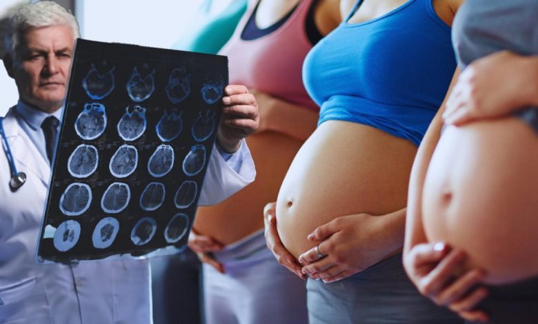 Pregnancy Changes The Brain