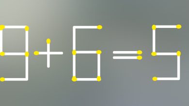 Mathematical Matchstick Puzzle