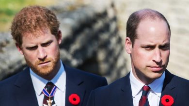 Prince Harry And Prince William