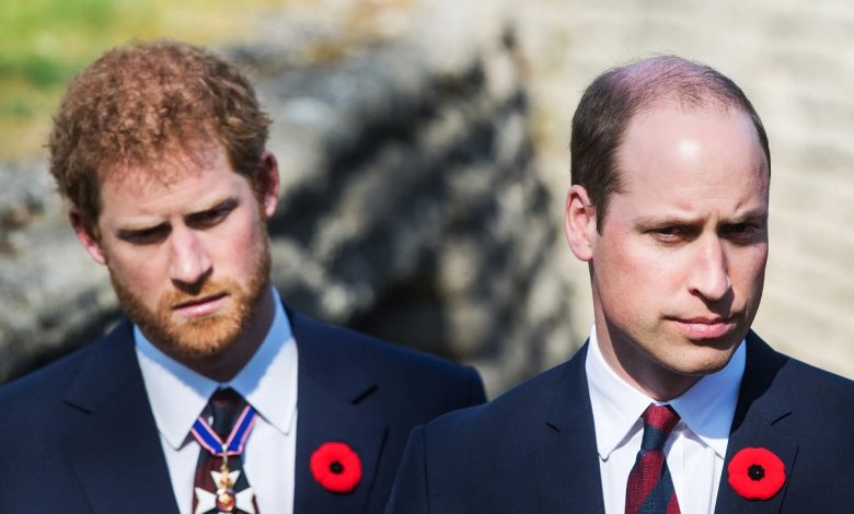 Prince Harry And Prince William