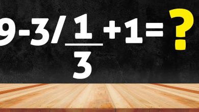 Mathematics IQ Test