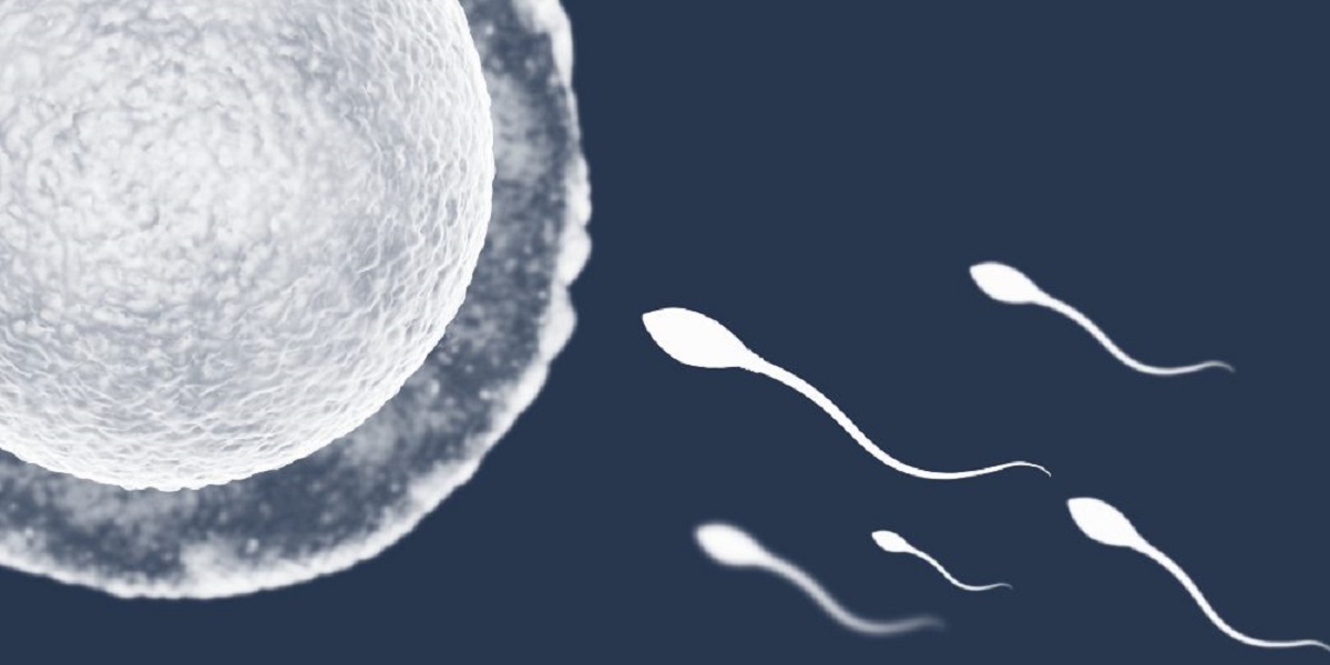 Semen Health Indicators