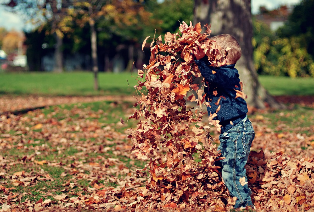 Managing Seasonal Changes