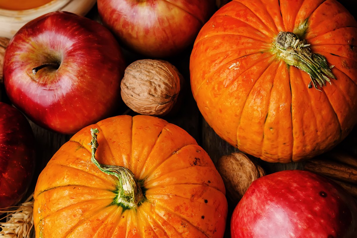 Fall Nutrition