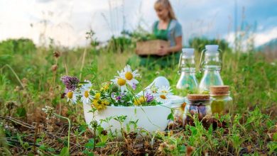 Combatting Colds With Herbs