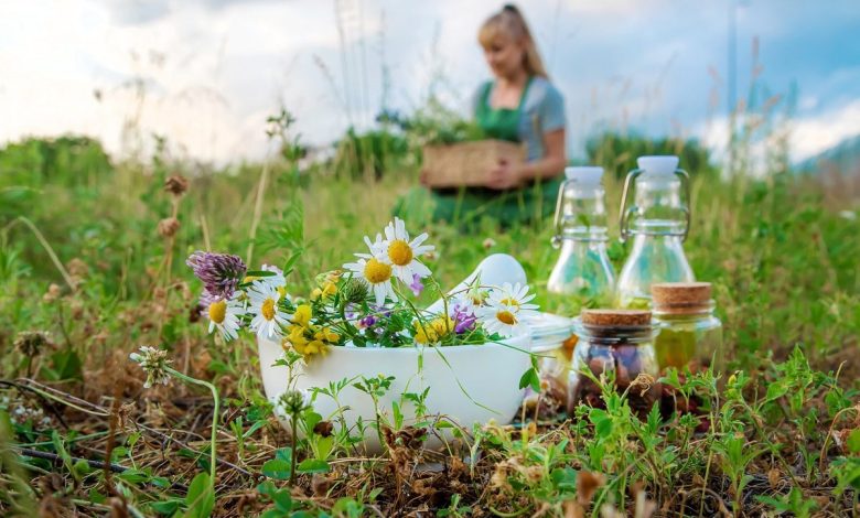 Combatting Colds With Herbs