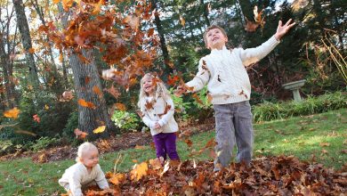 Fall Leaves Dangers