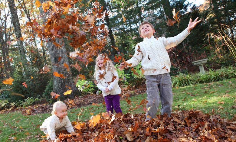 Fall Leaves Dangers