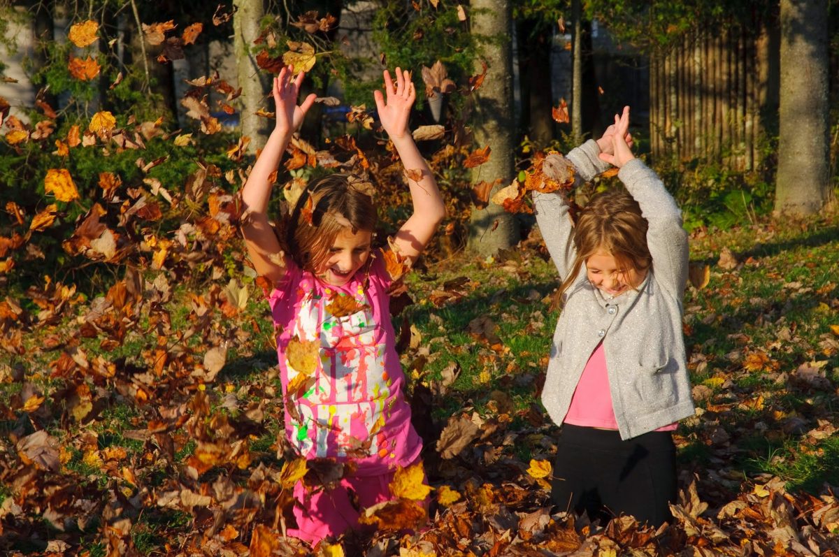 Fall Leaves Dangers