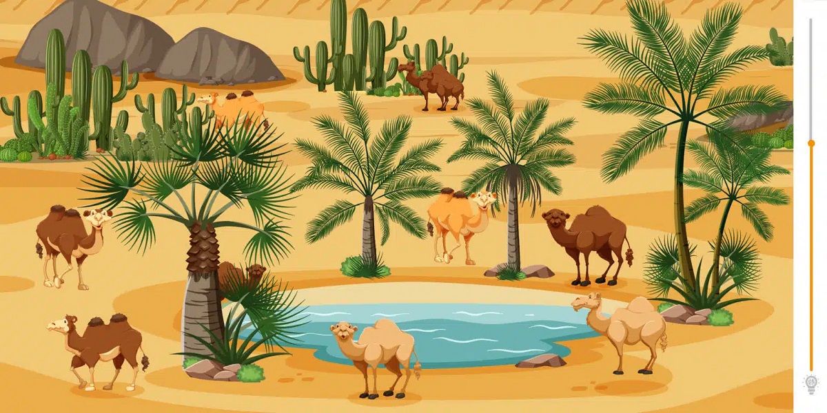 Camels Visual Test