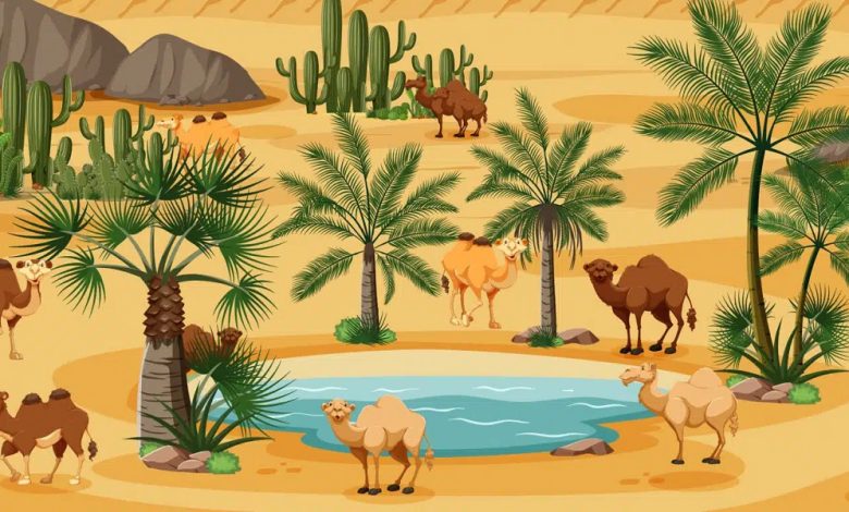 Camels Visual Test