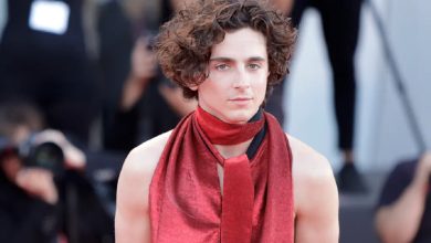 Rise Of Timothée Chalamet