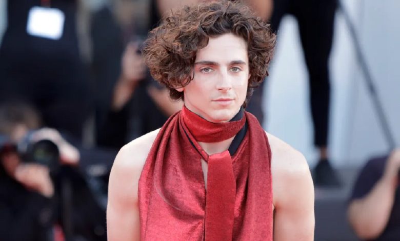 Rise Of Timothée Chalamet