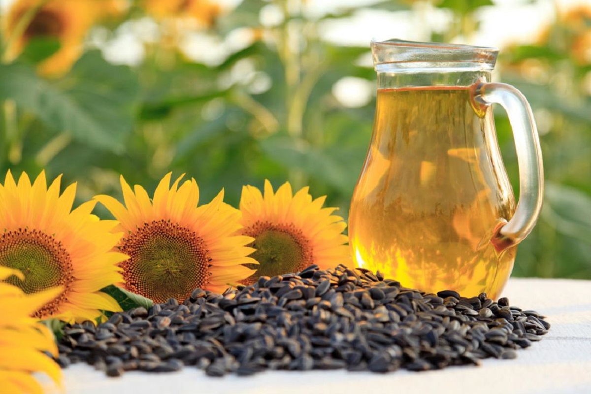 Seed Oil Dangers