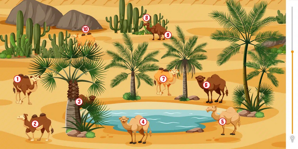 Camels Visual Test