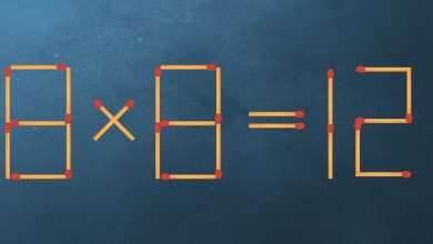 1 Match Mathematical Puzzle