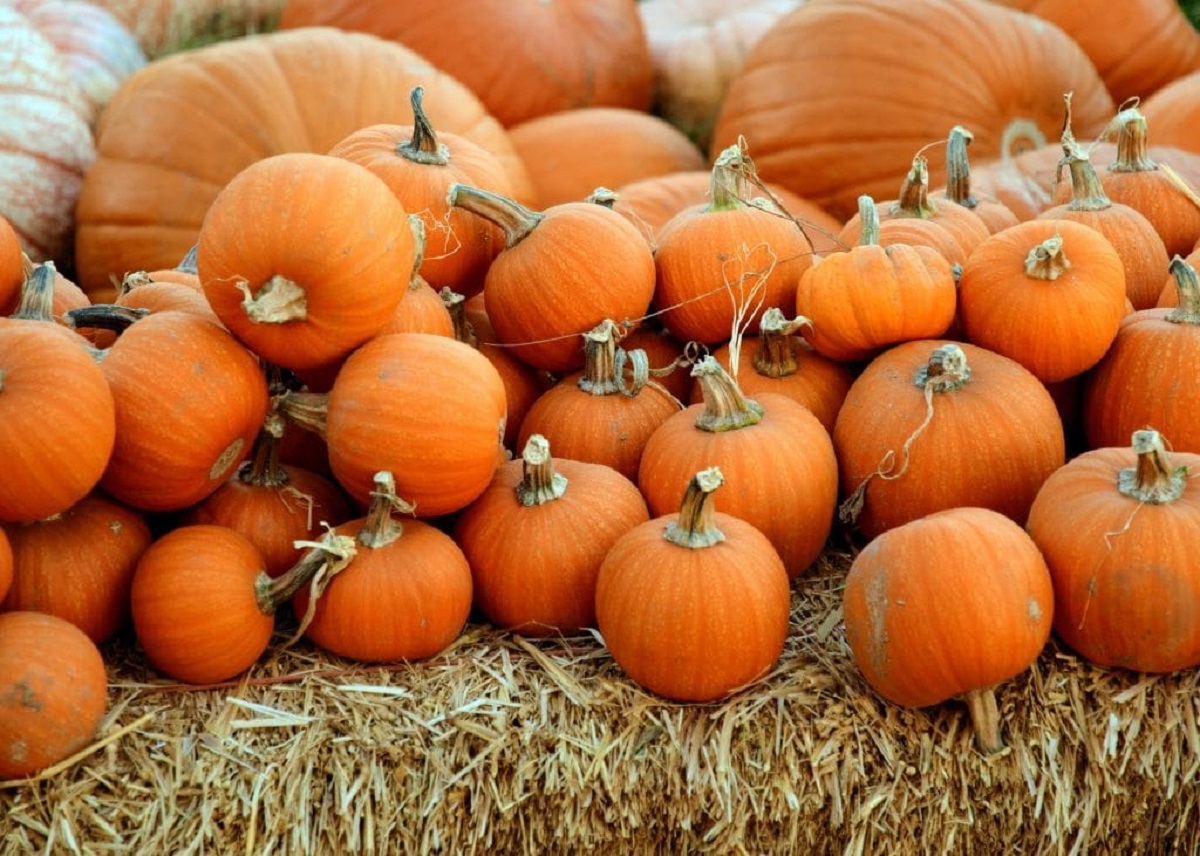 Health Benefits Of Pumpkin