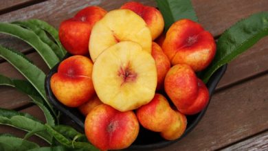 Benefits Of Flat Peaches