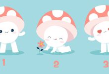 3 Mushrooms Personality Test